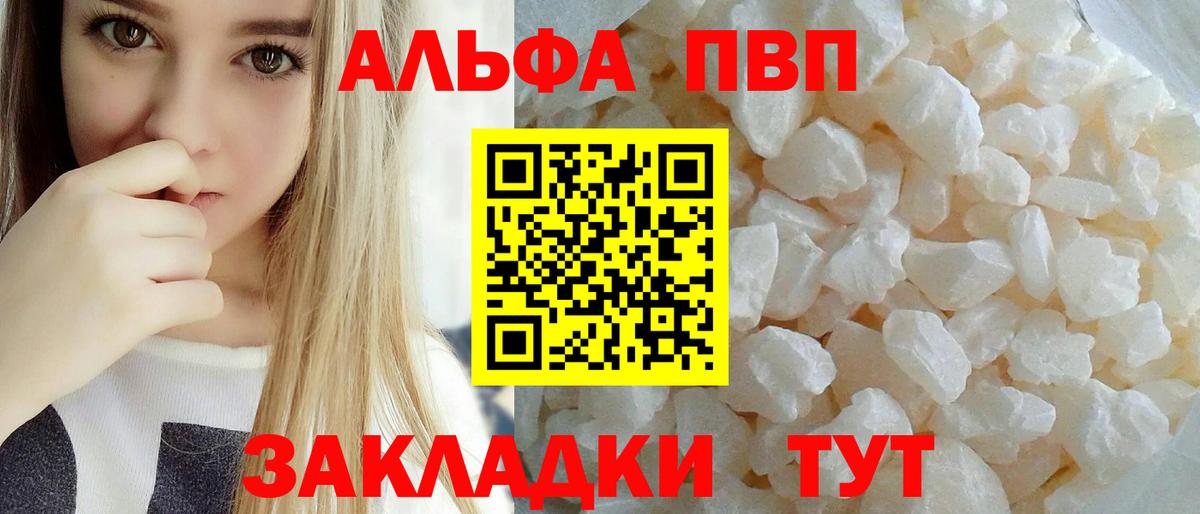 Альфа ПВП СК Новосибирск